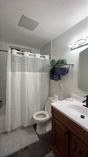 Bathroom - VIP Suite—2BR/1 BA House Near Mayo Clinic Hospital (Rochester)
