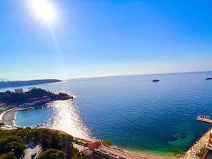 House | 4 bedrooms - Monaco Prestige Vue Mer 180 4 Chambres (Monaco)
