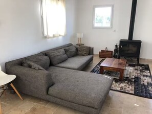 Ein Wohnzimmer mit einer Couch, einem Couchtisch, einem Kamin und einem Fenster.