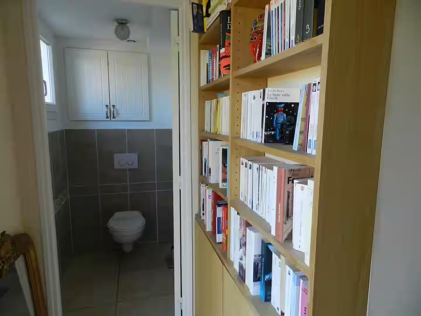 A bathroom with a toilet and a bookshelf filled with books.