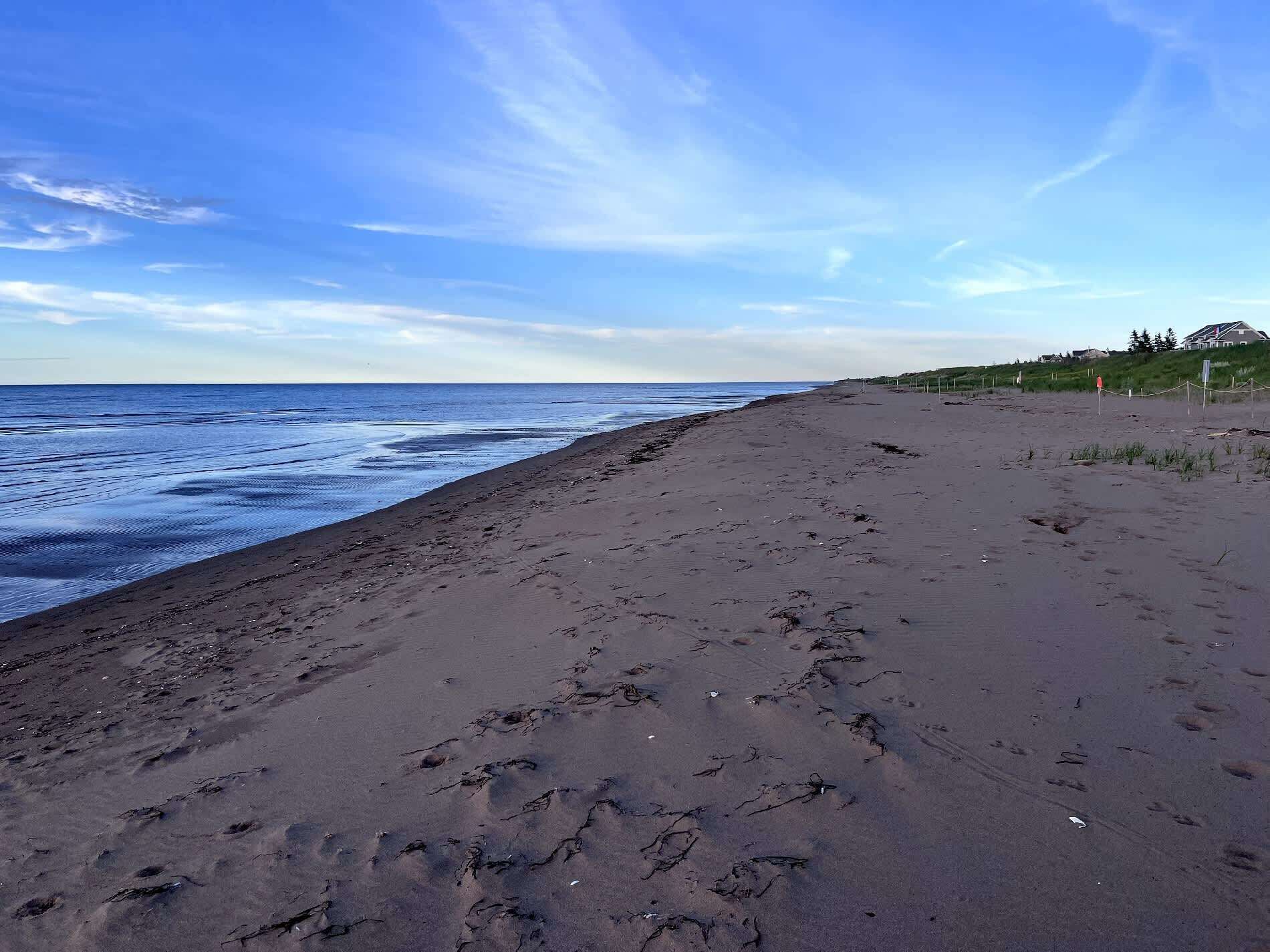 A beach with a clear sky and calm sea.