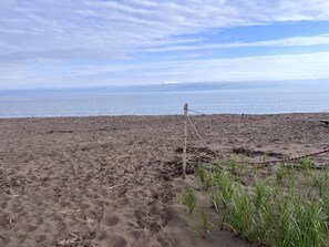 Une plage de sable bordée d’une barrière faite de cordes et où la végétation est clairsemée.