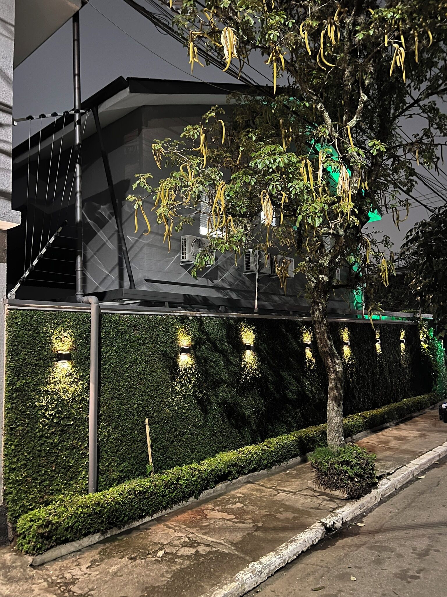 A modern building with a geometric facade, a green hedge, and a tree with hanging yellow flowers.