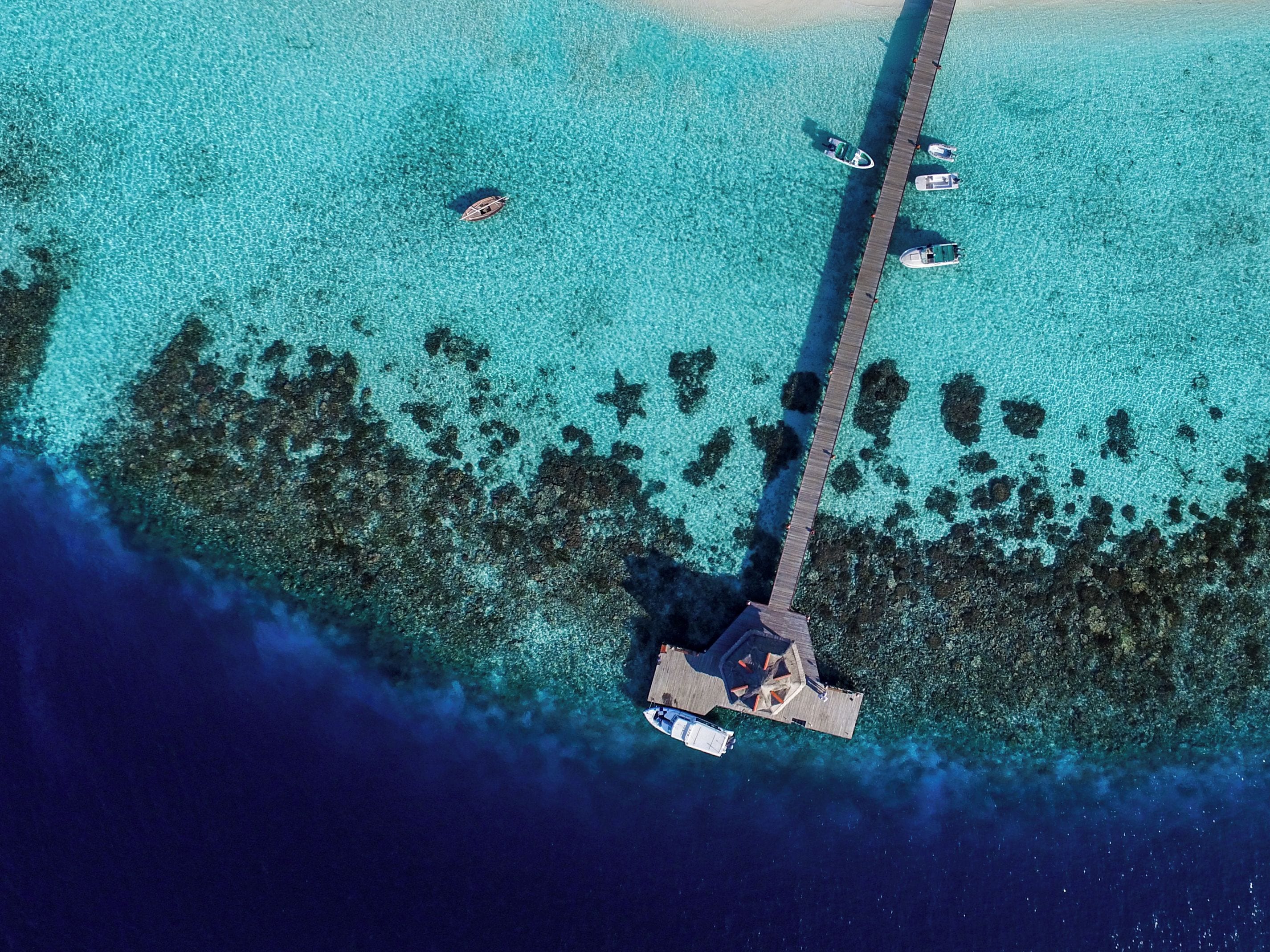 Vista aérea de una propiedad costera con un muelle que se adentra en aguas turquesas, rodeada de agua cristalina y algo de vegetación.