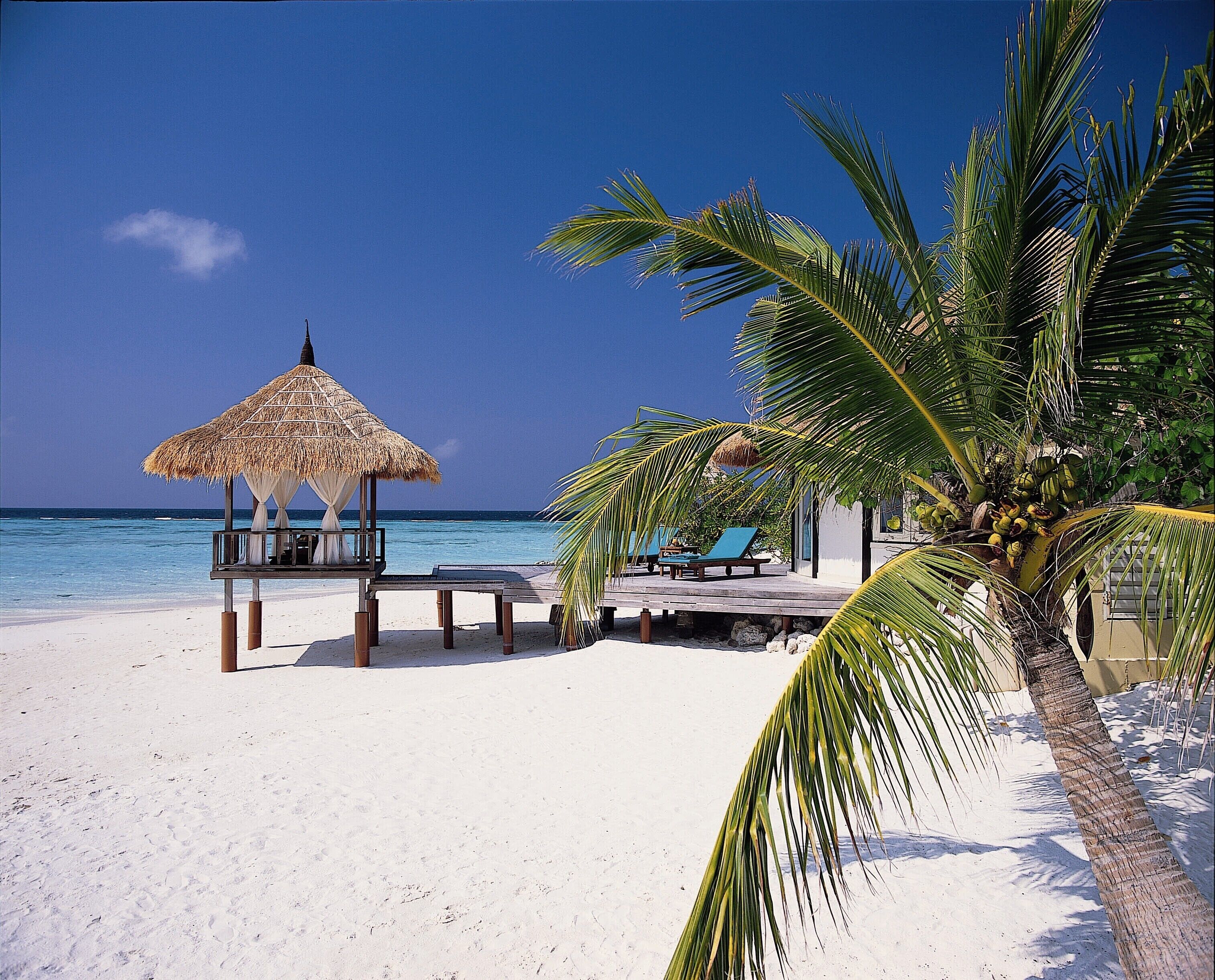 A beach with a thatched hut, lounge chairs, and a palm tree.