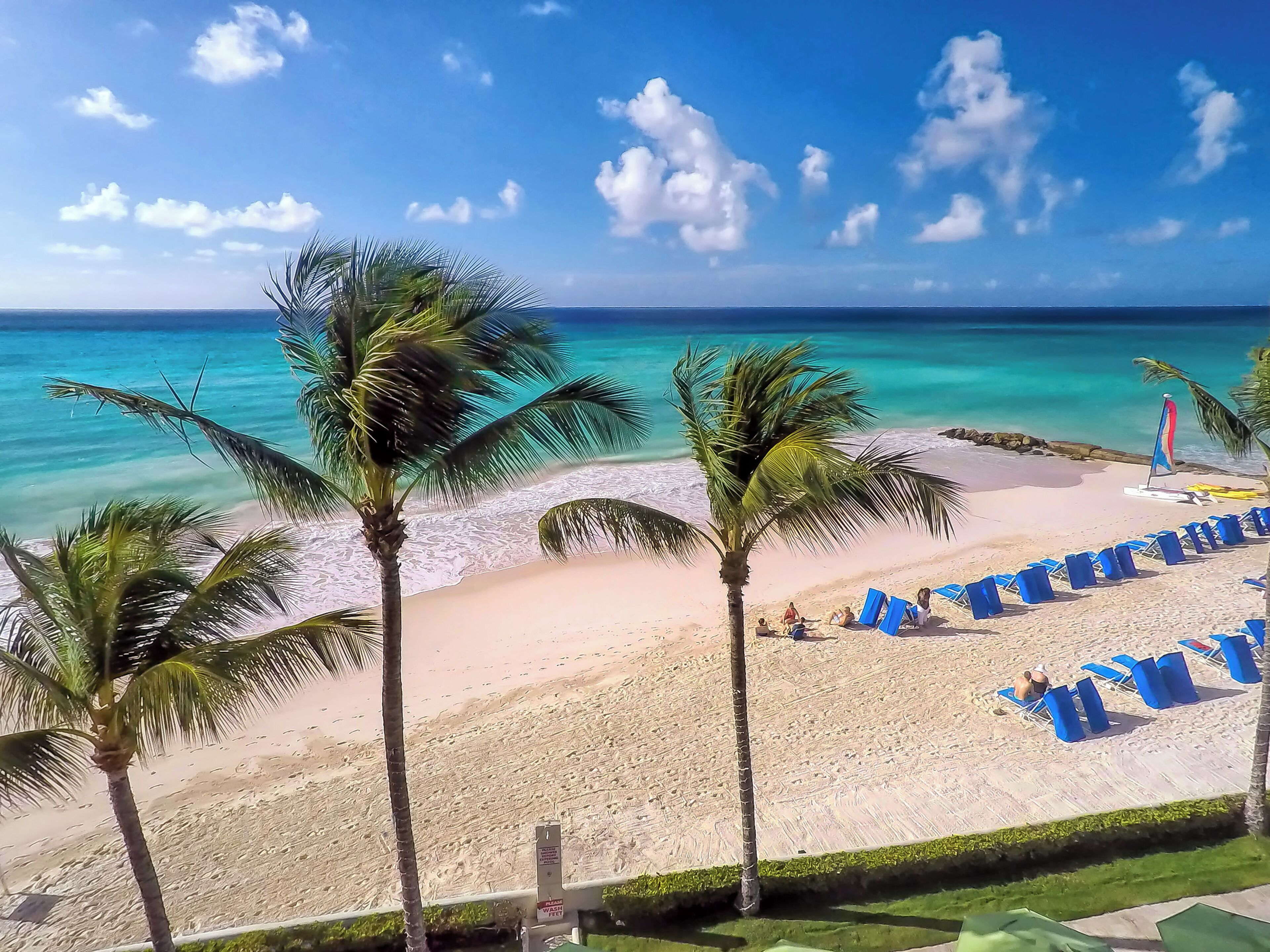Scuba diving, beach volleyball, sailing, rowing