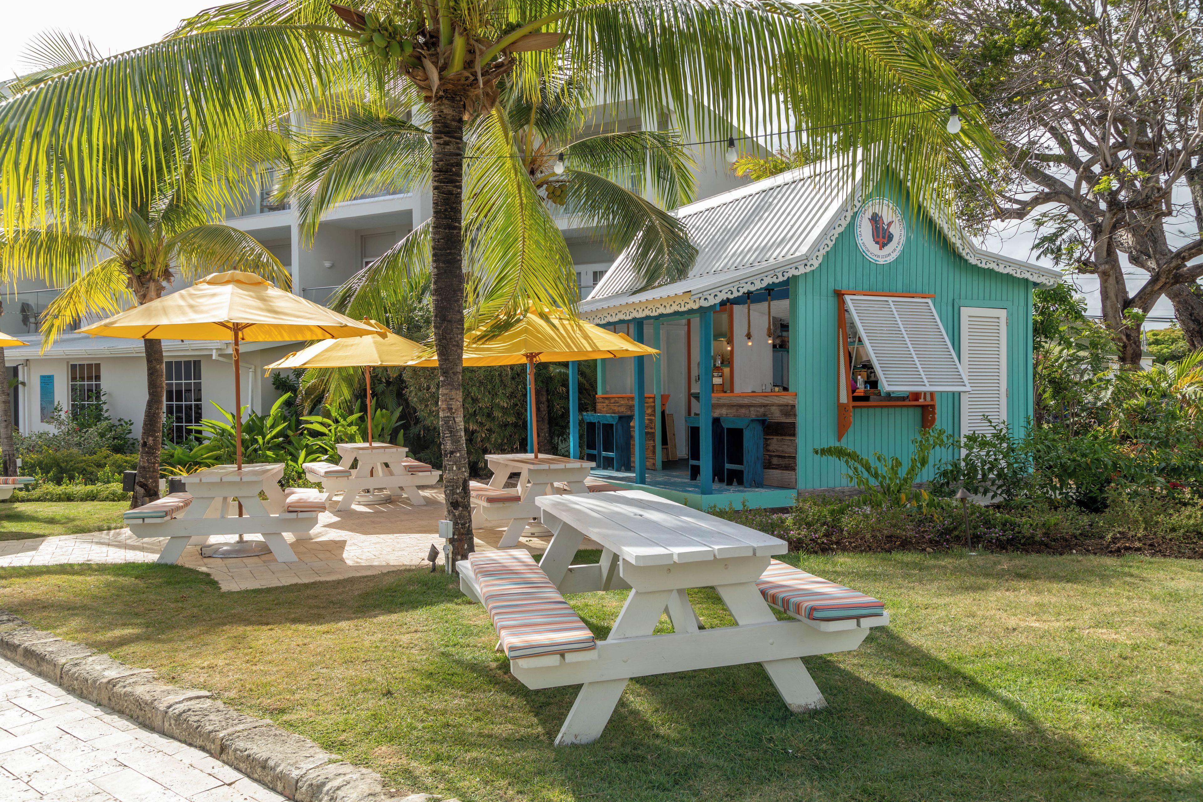 An outdoor seating area with picnic tables and umbrellas, surrounded by palm trees and a building with a blue facade.