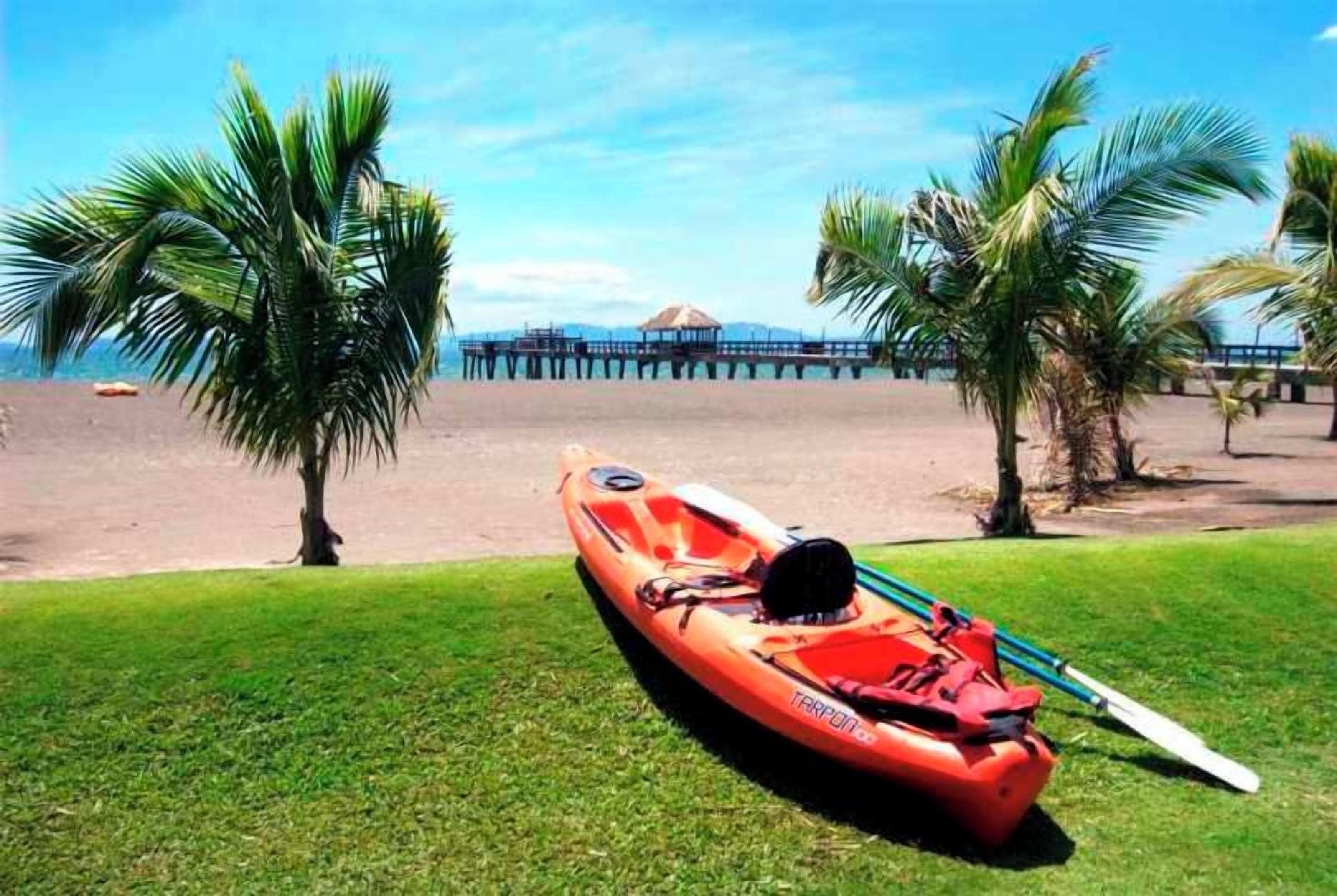 Un bote en un área verde con playa y palmeras al fondo.