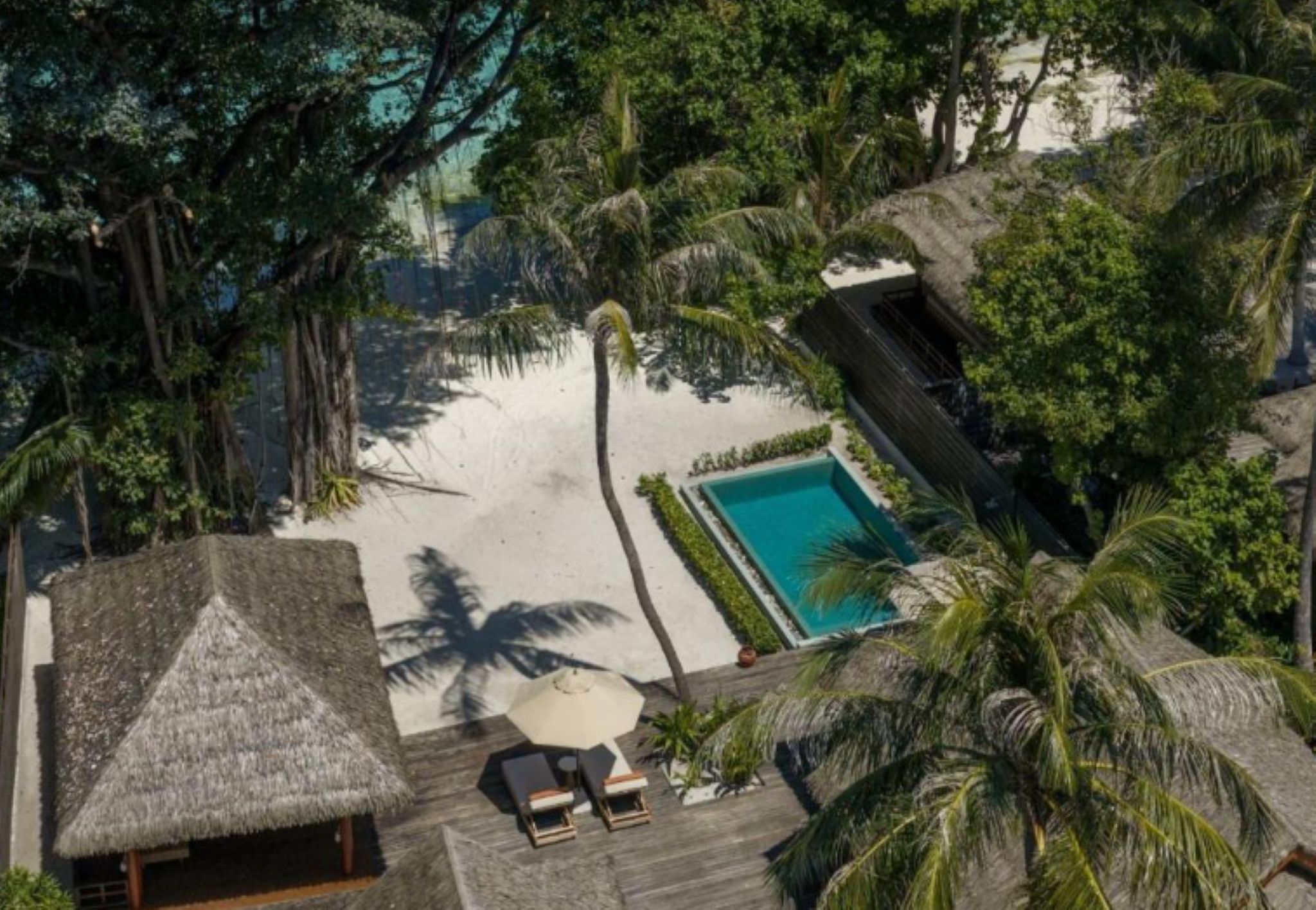 Un complexe hôtelier doté d’une piscine, de palmiers et d’une structure à toit de chaume.