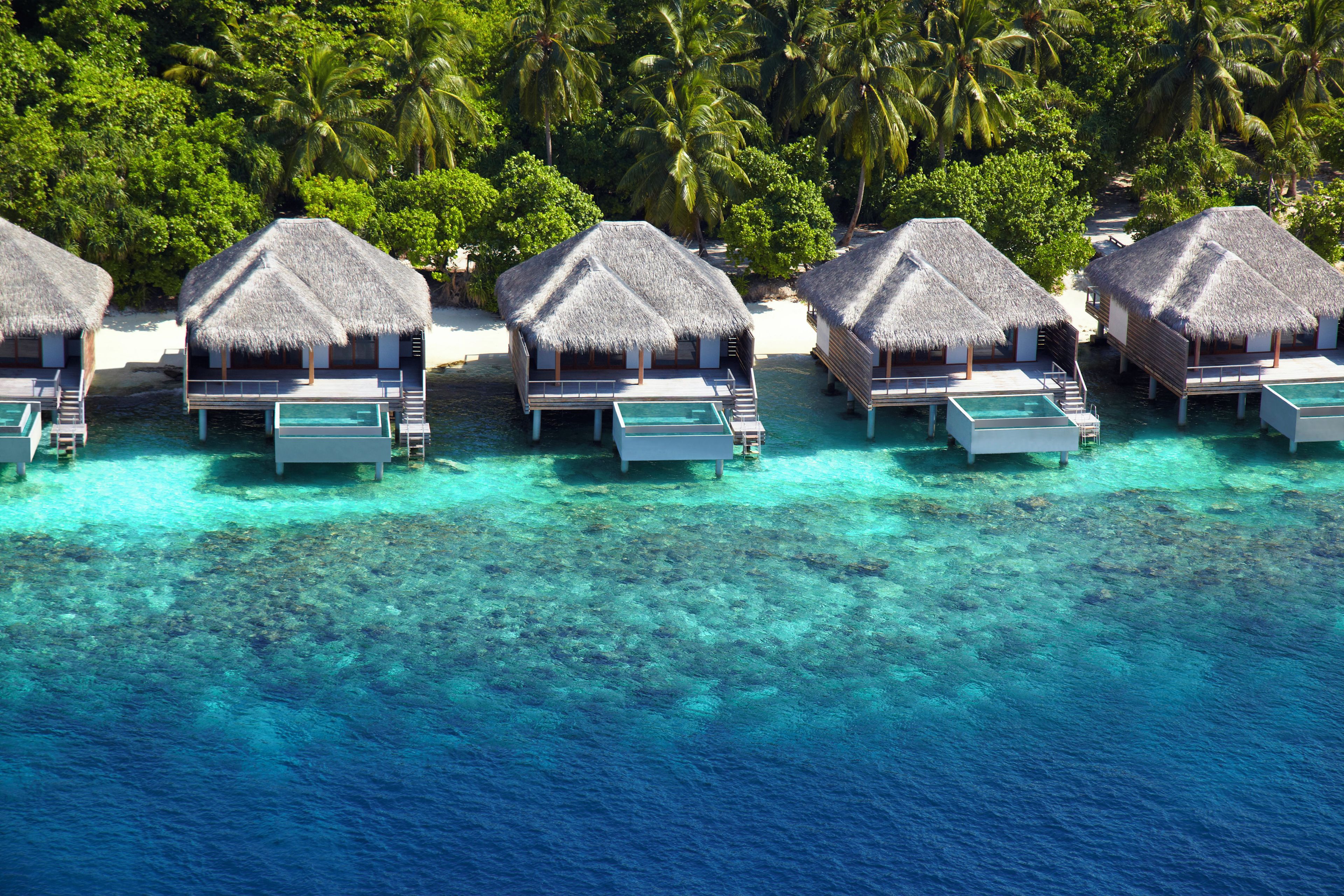 Overwater bungalows with thatched roofs, connected by walkways, set against a backdrop of dense tropical foliage and clear turquoise waters.