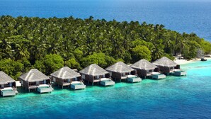 Bungalows sobre el agua con techos de paja y piscinas privadas, rodeados por un denso bosque de palmeras y el océano.