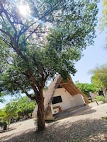 A thatched-roof building with a gravel path leading to it, surrounded by trees.