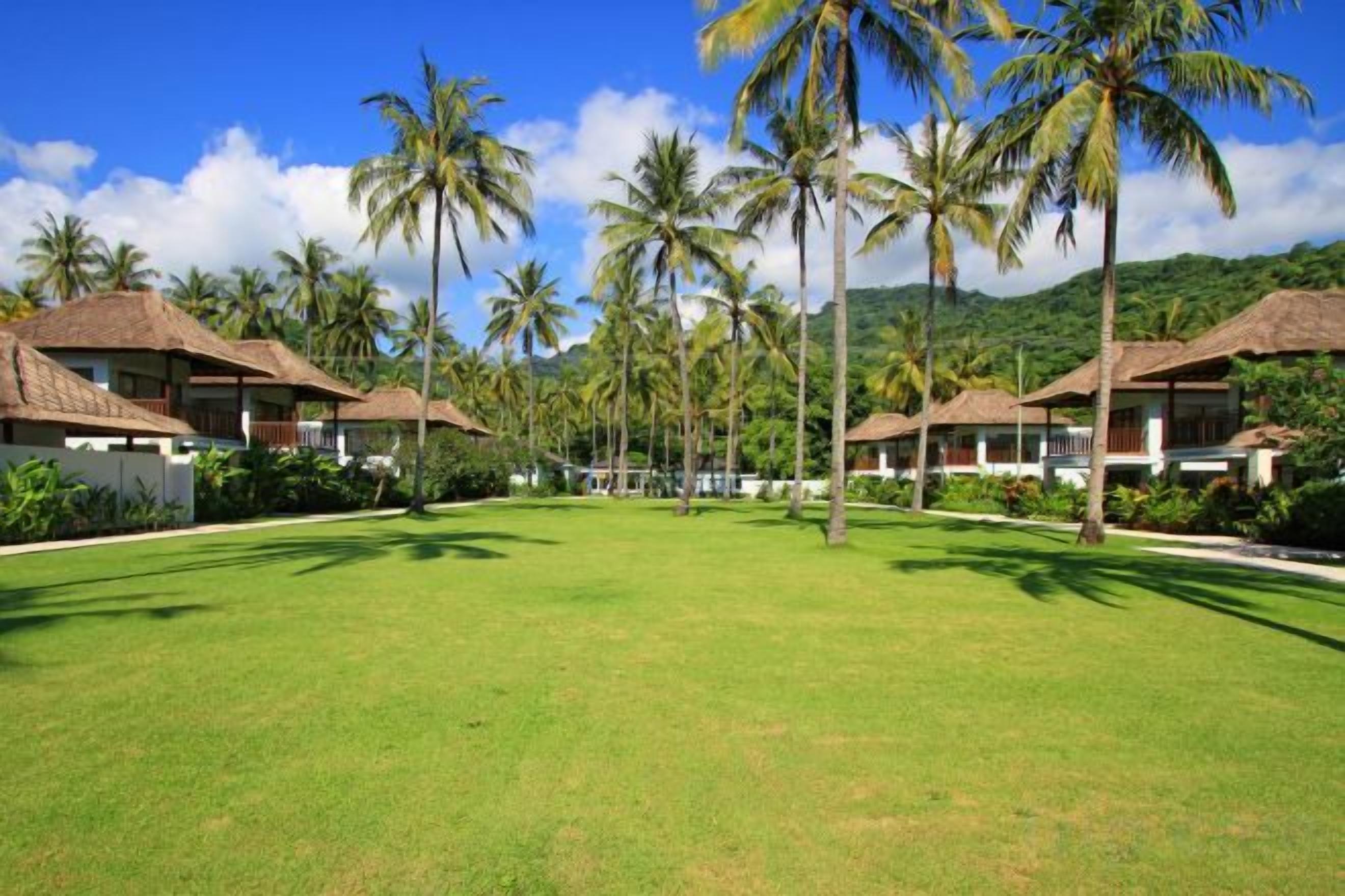 Un resort con varias construcciones tipo bungalow, un césped bien cuidado y palmeras.