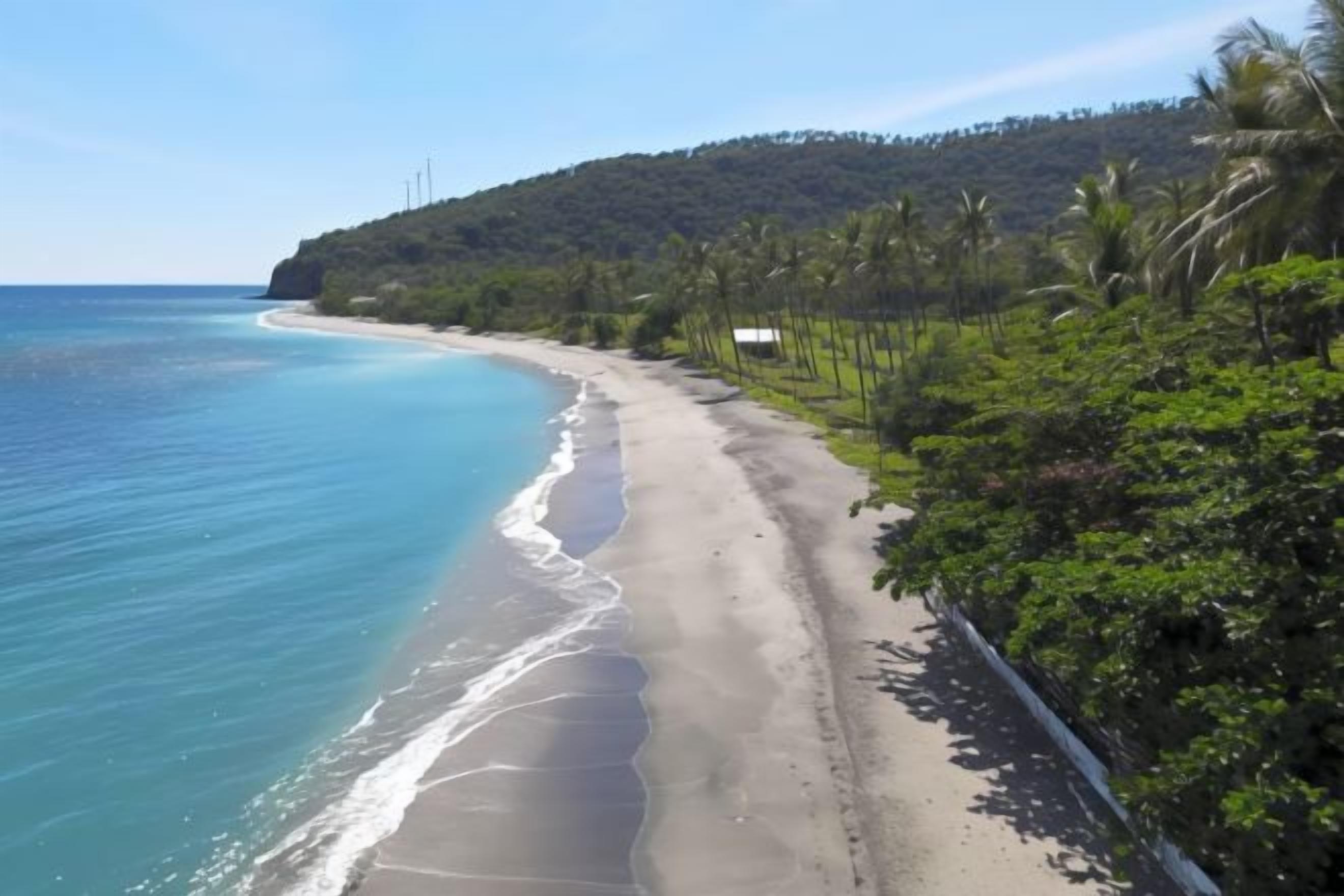 A beach with a clear view of the ocean, a sandy shore, and a line of trees.