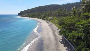 A beach with a clear view of the ocean, a sandy shore, and a line of trees.
