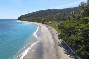 Una playa con vista clara al océano, una orilla arenosa y una hilera de árboles.