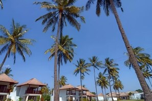 Un resort con varias construcciones tipo bungaló, palmeras y un cielo azul despejado.