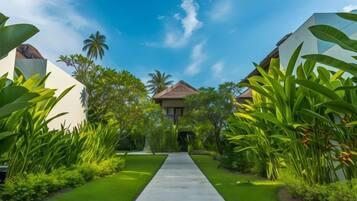 A pathway leading to a building surrounded by lush greenery and tropical plants.