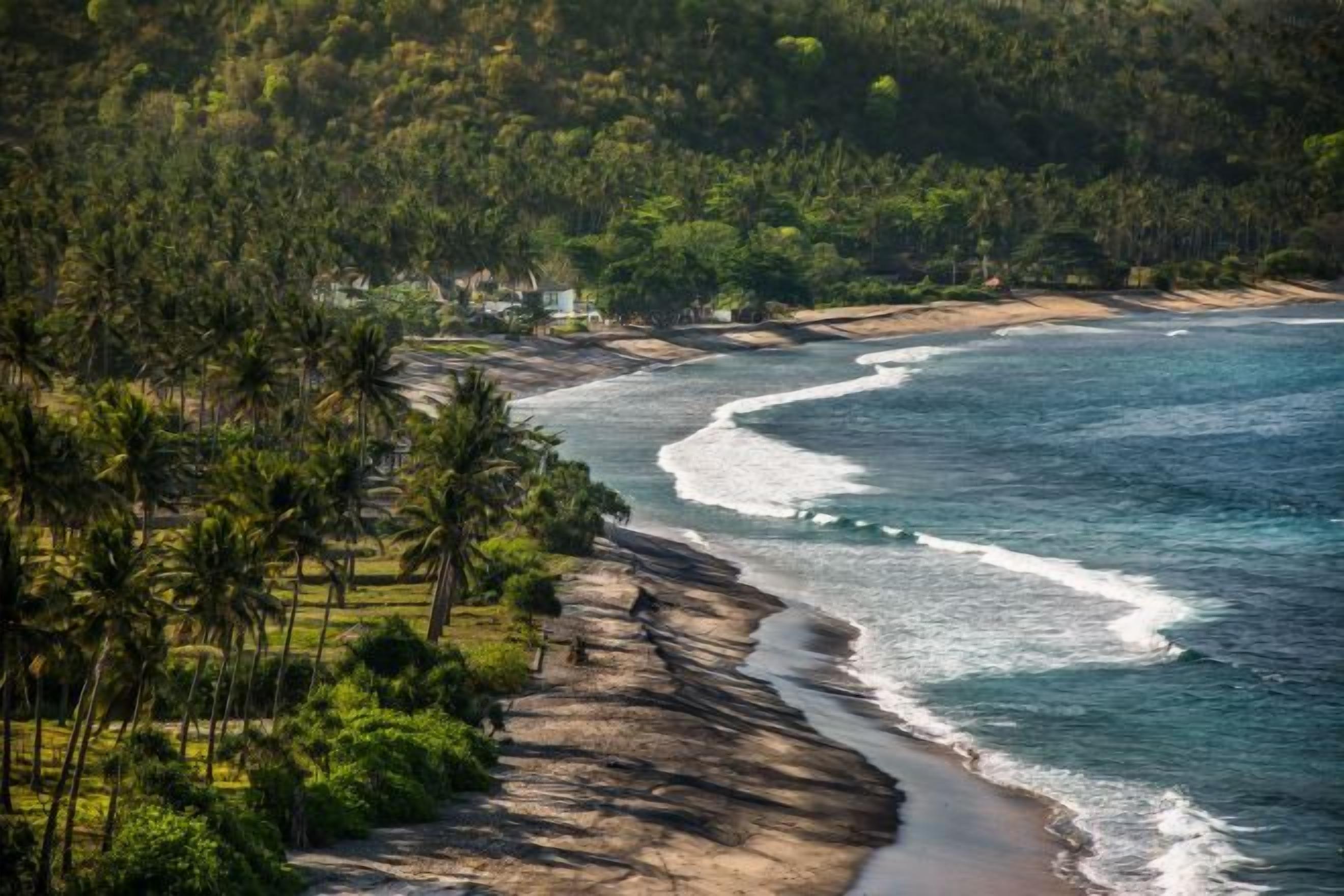 A coastal landscape with a beach, palm trees, and a view of the ocean.