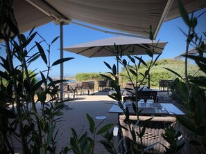 Un patio al aire libre con mesas y sillas bajo una toldo, rodeado de follaje.