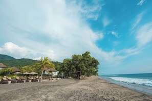 A beach with lounge chairs and umbrellas, a large tree, and a building with a thatched roof. - Living Asia Resort Spa Lombok (Senggigi)