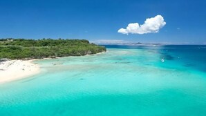 Une plage aux eaux turquoise et limpides, bordée d’un rivage sablonneux et d’une zone boisée.