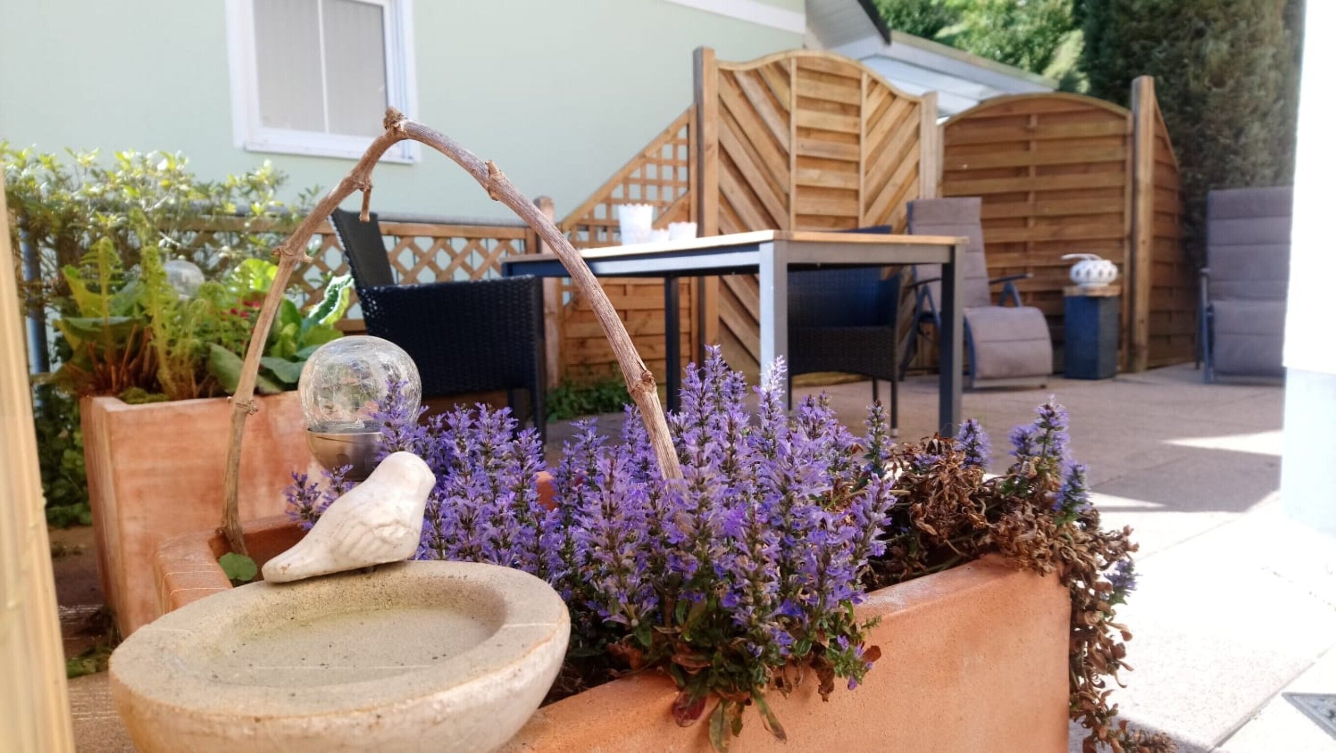 A garden area with a stone basin, a crystal ball, and purple flowers.