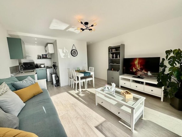Smart TV, DVD player, books