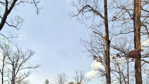 A cabin with a swimming pool, surrounded by trees and a fenced area. - Three Bears Pet-friendly Cabin With Heated Pool Near Hochatown Mountain Views Sleeps 10 (Broken Bow)
