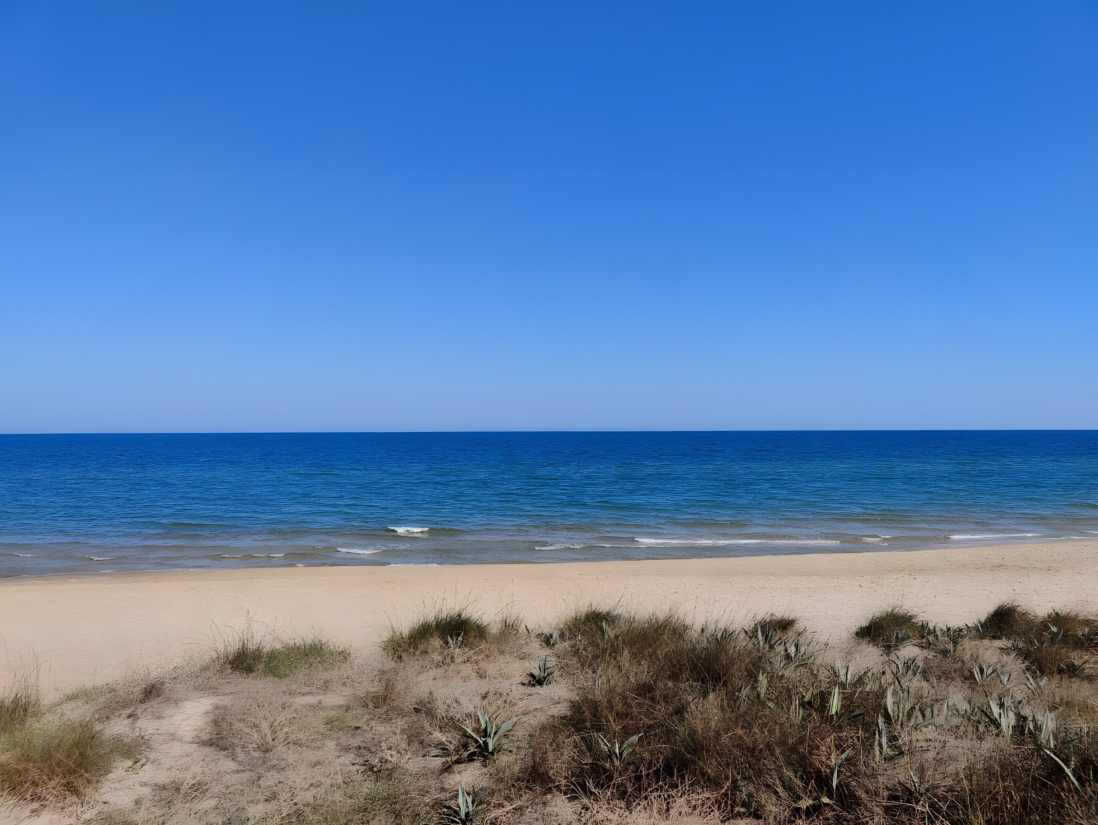 Playa