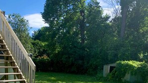 A wooden deck with steps leading to a door, surrounded by a grassy yard and trees.