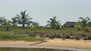 A beach with palm trees and a thatched-roof building.