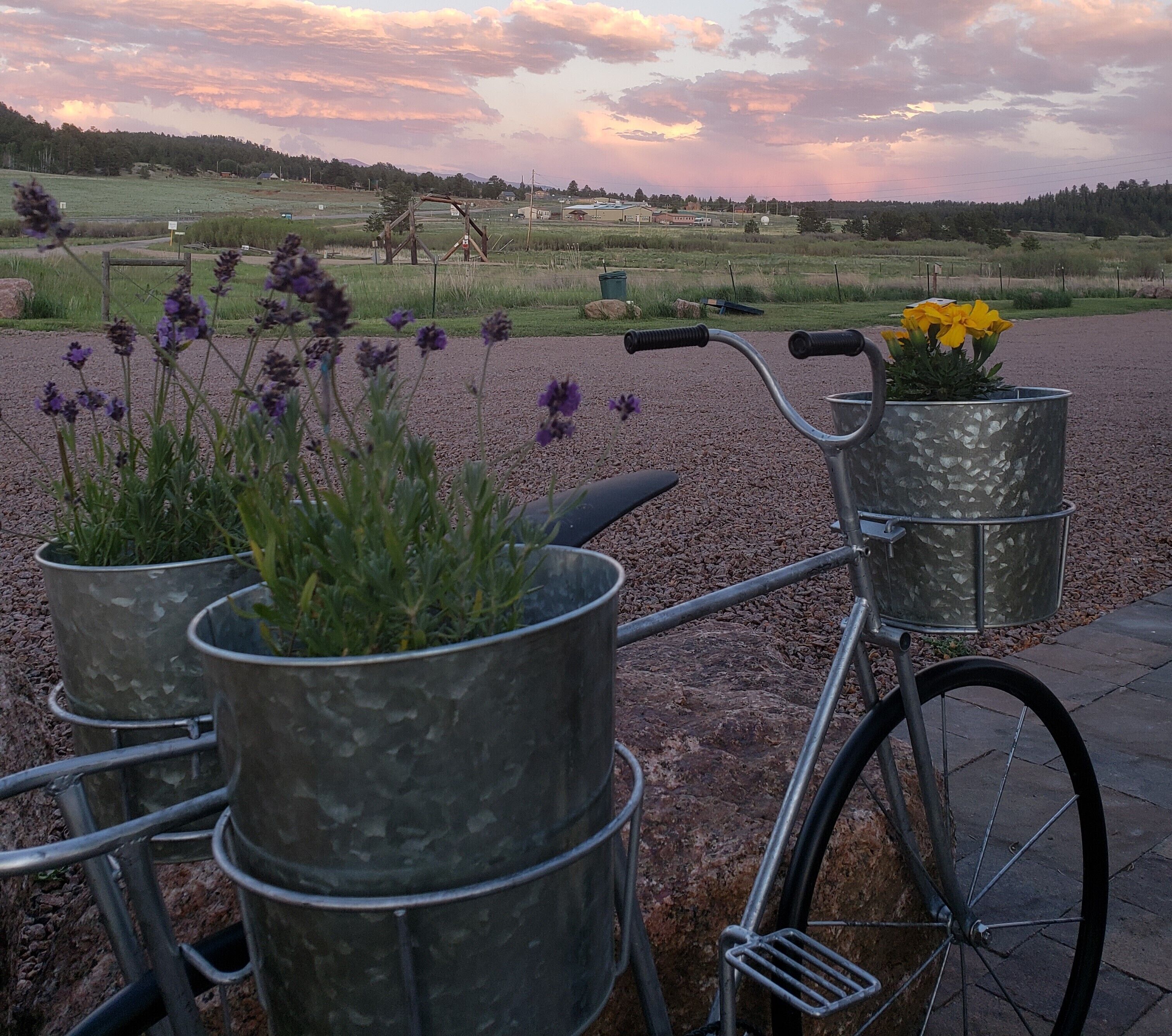 A bicycle with metal flower pots attached to the frame, parked on a gravel path.