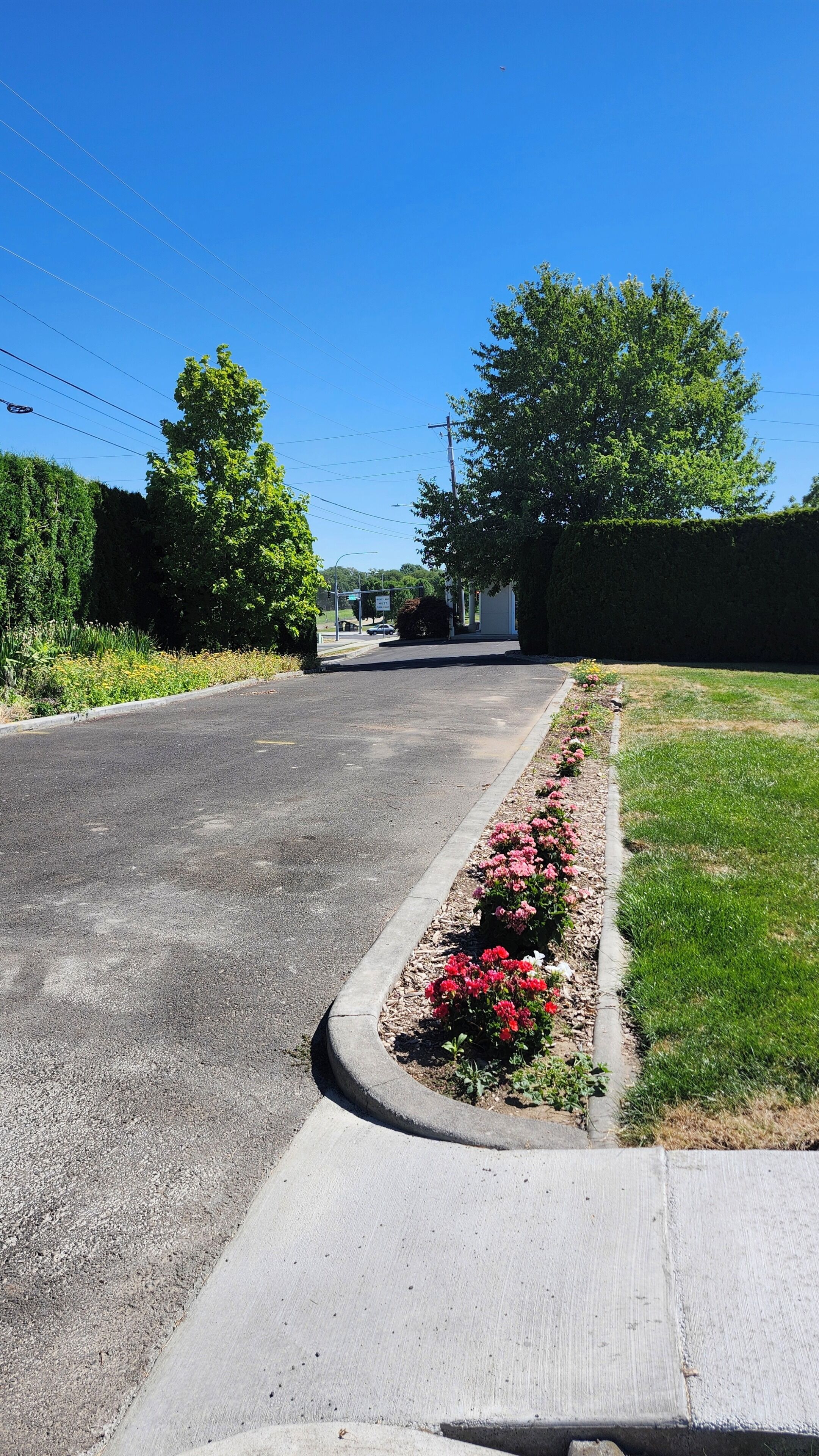 Una tranquila calle residencial con acera, macizos de flores y cielo azul despejado.