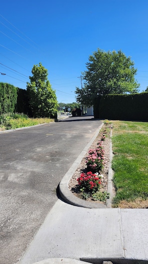 A quiet suburban street with a sidewalk, a flower bed, and a clear blue sky.
