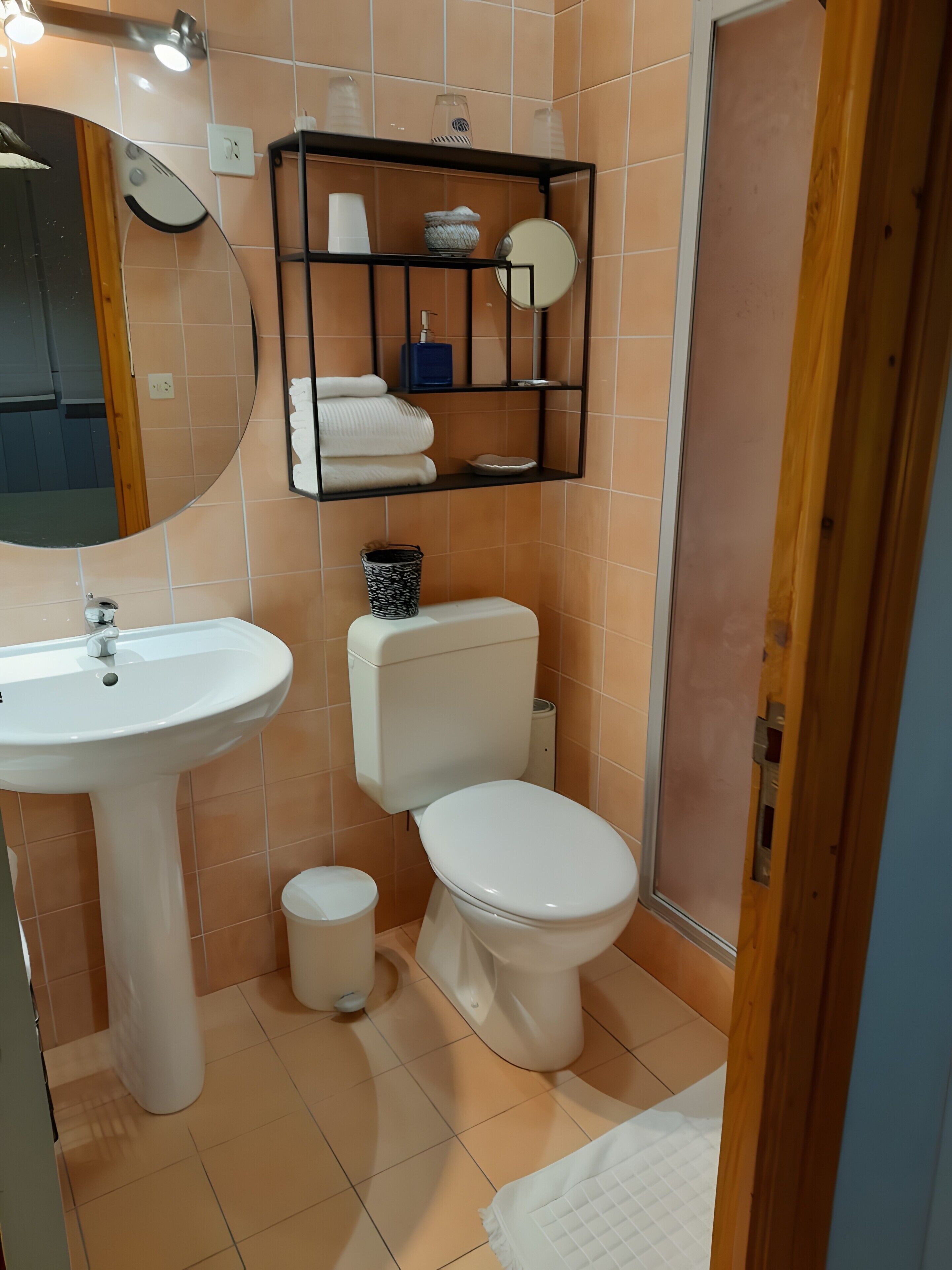 A bathroom with a white sink, toilet, and a shelf with toiletries.