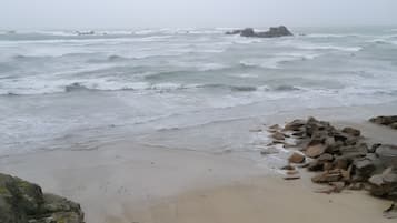 Playa