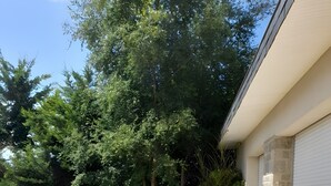 Un patio dallé, agrémenté d’une table et de chaises, entouré de verdure et bordé d’un bâtiment à la façade en pierre.