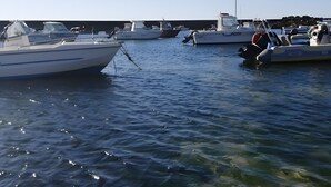Un puerto deportivo con varias embarcaciones amarradas.