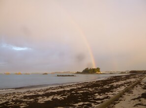 Een strand met een regenboog, zand begroeid met zeewier en gebouwen in de verte.