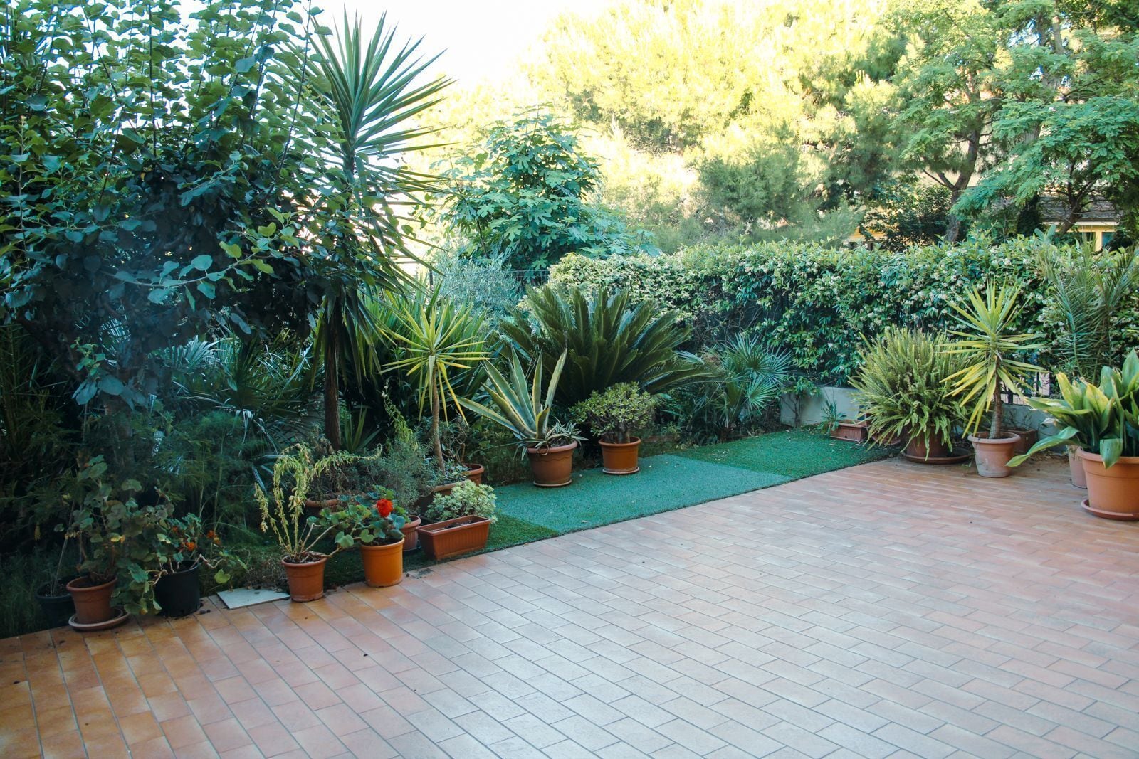 Parco della struttura