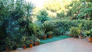 A paved patio area with potted plants and a small grassy patch. - Family-friendly vacation home just a 5-minute walk from the beach (Civitanova Marche)