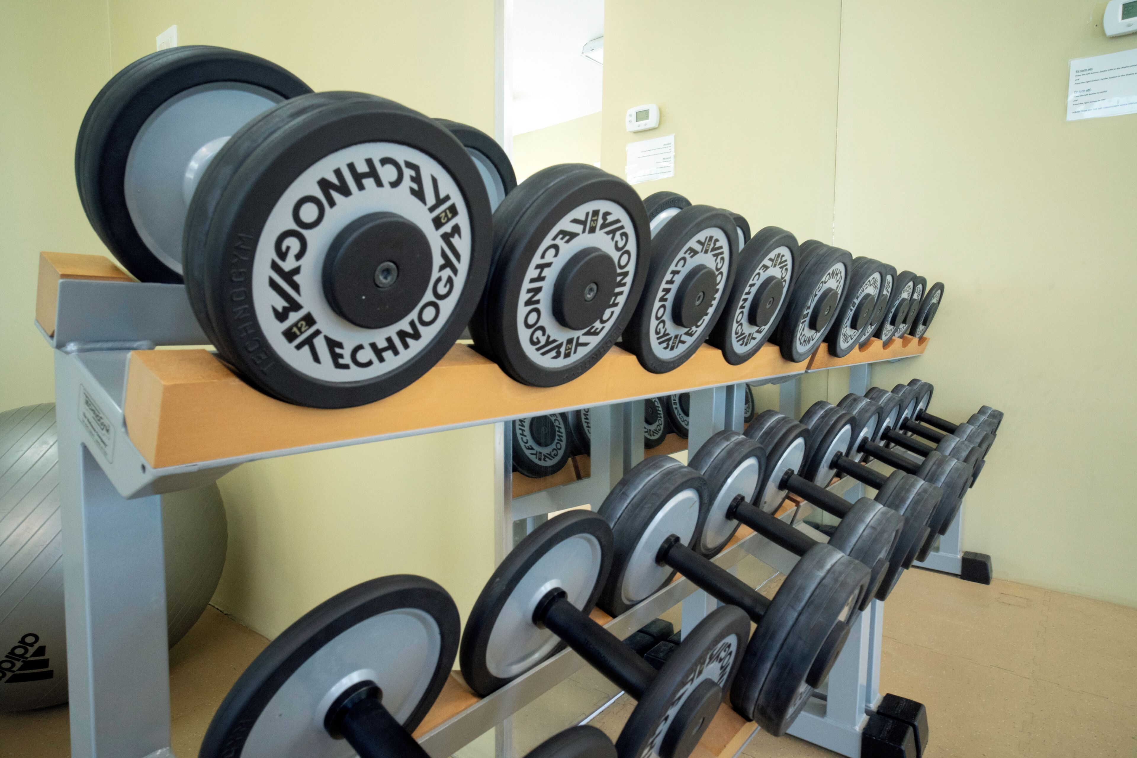 A row of weightlifting equipment, including dumbbells and a barbell, on a rack in a gym.