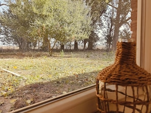 Condo, Pets Allowed, Garden View | View from room - alte Wiesenresidenz (Saal)