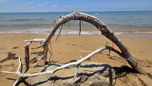 A beach with a large fallen tree in the foreground and calm ocean waves in the background. - "Villa Anna tra le Dune" - Private parking. 
5 minutes by bike from the beach. (Santa Maria del Focallo)