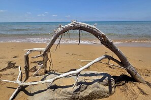 Ein Strand mit einem großen, gefallenen Baum im Vordergrund und ruhigen Wellen im Hintergrund.