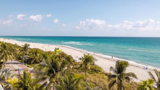 A beach with palm trees and a clear sky. - Shine Suites Balcony Studio (Miami Beach)