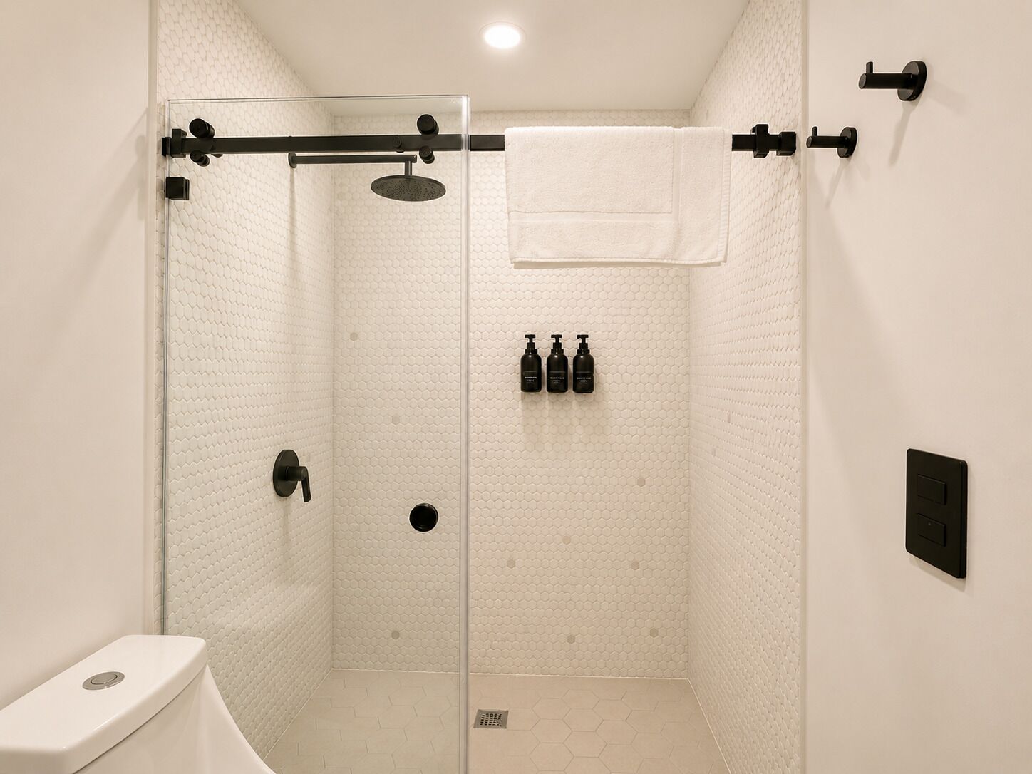 Hair dryer, towels, soap, toilet paper