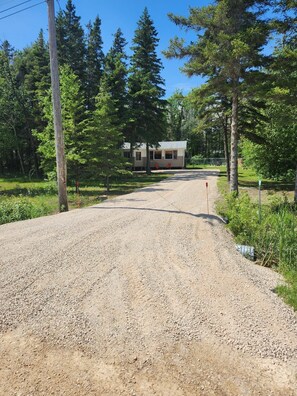 A gravel driveway leading to a building surrounded by trees.