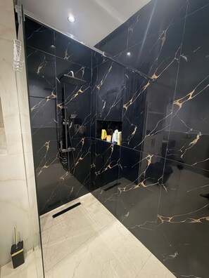 Shower, towels, toilet paper